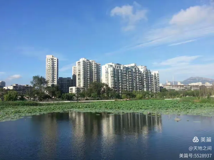 大美金州